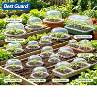 Envases de Blíster Personalizados para Bandejas de Semilleros, Contenedor Termoformado de Plástico PET Transparente