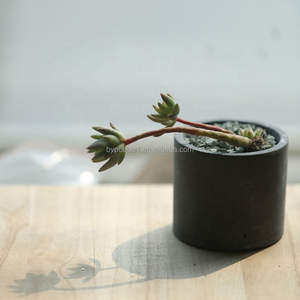 Vaso di porcellana ceramica di <span class=keywords><strong>Design</strong></span> moderno elegante e contemporaneo per arredamento d'interni moderno vaso <span class=keywords><strong>in</strong></span> <span class=keywords><strong>cemento</strong></span> - Product Image 6