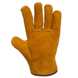 Good Price Of New Design Full Leather Short Gloves Outdoor Activities Versatile Hand Protection