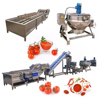 Ligne de production de ketchup de petite capacité, machine à fabriquer de la pâte de tomate, Turquie