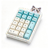 Keypad Numerik Mini Portabel Warna Pastel, Numpad Mekanik Ringkas, Nirkabel BT USB-C, Tombol Kustom, Ringan, Untuk Penggunaan Desktop