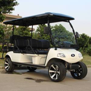 <span class=keywords><strong>Voiture</strong></span> électrique HDK EVOLUTION 6 sièges roue 48V batterie au lithium voiturette de golf électrique à vendre - Product Image 4