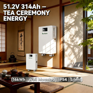 Batterie au lithium 51,2 V 48 V 314 Ah 16 kWh pour systèmes de stockage d'énergie solaire, montage mural avec roues - Product Image 1
