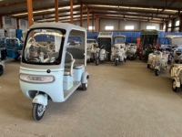 Tricycle électrique 800W à frein à tambour pour passagers, haute performance, vente chaude