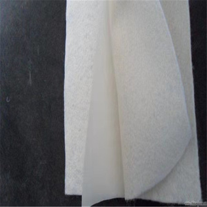 Pp Pe Pet Polyester Vải Địa Kỹ Thuật Polypropylene 400G 600G 800G Vải Địa Kỹ Thuật Không Dệt Và Màng Địa Kỹ Thuật Composite <span class=keywords><strong>Geomembrane</strong></span> - Product Image 4