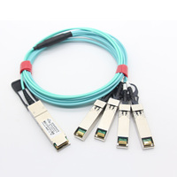 Kabel Serat Optik AOC 100G 30M Kabel Optik Aktif OM3 QSFP28 ke 4*SFP28 untuk Penggunaan Pusat Data