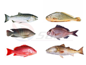 Máy Làm Sạch Cá Tất Cả Trong Một Công Nghiệp Máy Cắt Loại Bỏ Cá Tiêu Diệt - Product Image 3