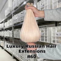 Extensions de cheveux humains russes à pointe en V, pré-collées à la kératine, double épaisseur