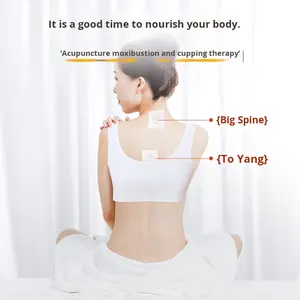 Магнитные патчи для моксотерапии (10 шт./упак.) – обезболивающие наклейки с эфирными маслами для шеи, плеч, коленей и суставов - Product Image 5