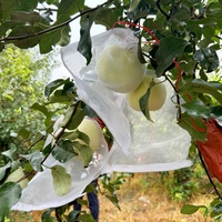 Herbruikbare PE-materiaal insecten- en vogelwerende, duurzame netzak voor het verpakken van fruitbomen
