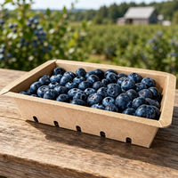 Panier à fruits en papier imprimé sur mesure avec trous de ventilation, plateau en carton kraft blanc pour fraises et myrtilles, empilable, OEM, vente en gros