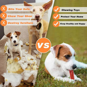 Juguete de Hueso para Masticar para Perros de Nailon Resistente con Huesos Reales de AFP, Alivio de la Ansiedad, Juguete para Masticar de Larga Duración para Perros Mordedores Agresivos - Product Image 5