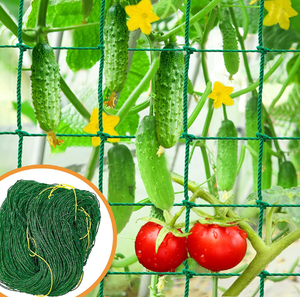 Robuste 25X25CM 30X30CM maille vert HDPE noeud support de jardin treillis plante filet pour concombre vigne Fruits et légumes Tomat - Product Image 5