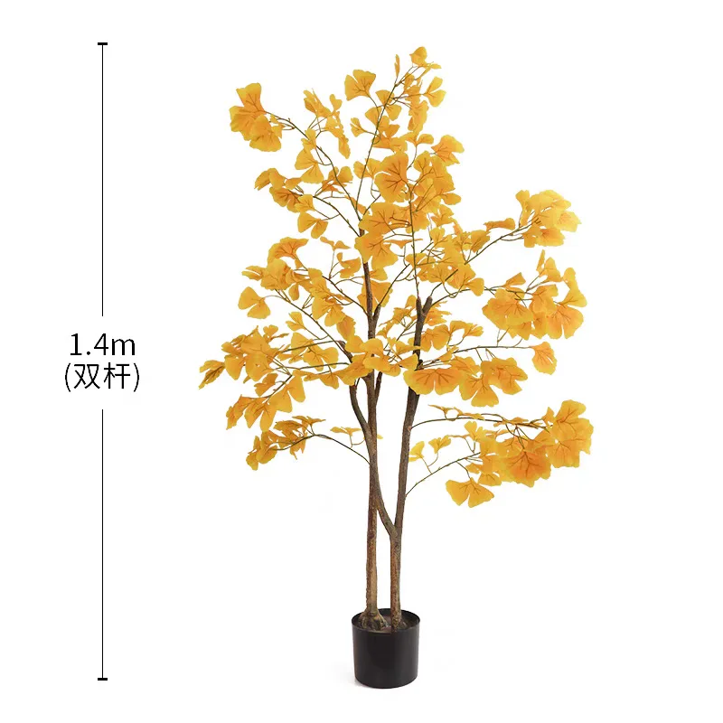Arbre ginkgo de 140 cm à double tige.