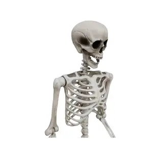 할로윈 소품 실물 크기 전신 인체 가동 관절 5.3 피트 하이 퀄리티 할로윈 야외 파티 장식 대형 해골