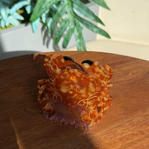 Pinces à griffes en acétate <span class=keywords><strong>de</strong></span> <span class=keywords><strong>crabe</strong></span> <span class=keywords><strong>de</strong></span> dessin animé pinces à griffes <span class=keywords><strong>de</strong></span> poisson tropical pinces à cheveux biologiques marines nouvellement conçues - Product Image 3