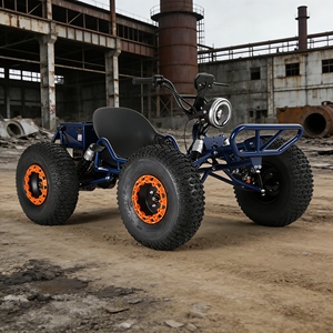 Kart de course tout-terrain au <span class=keywords><strong>meilleur</strong></span> prix, kart <span class=keywords><strong>électrique</strong></span> haute vitesse pour course tout-terrain, kart tout-terrain robuste - Product Image 3