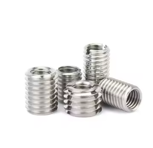 Высокое качество отверстие из нержавеющей стали внутренняя внешняя Резьбовая втулка/прокладка DIN916 полый винт с гальванизированной отделкой коробка упаковка - Product Image 5