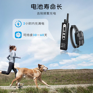 Dispositivo de entrenamiento para perros T10, control remoto, collar eléctrico recargable, supresor de ladridos para perros - Product Image 3