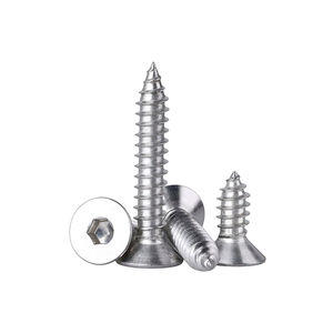 براغي خشب ذاتية اللولبة برأس سداسي ومسطح من الفولاذ المقاوم للصدأ 304 بتشطيب معالج لتركيب بلاط السقف في البناء - Product Image 2