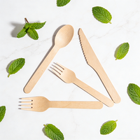 Ensemble de couverts en bois biodégradable personnalisé et écologique de 16 cm, couteau, cuillère, fourchette jetables pour fête