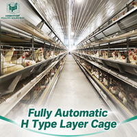 Cage à poules pondeuses entièrement automatique à structure en H, 3 à 12 niveaux, haute densité, pour l'élevage avicole commercial