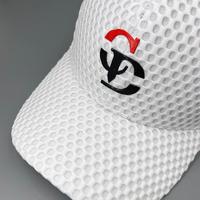 Hoge kwaliteit 5-panel luipaardprint katoenen custom geborduurde golf baseball pet fabriek groothandel gepersonaliseerd logo ademende pet