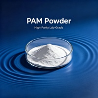 Promotion : Agent chimique auxiliaire de fabrication chinoise – Polyacrylamide anionique en poudre (APAM) pour l'impression textile et les eaux usées de teinture