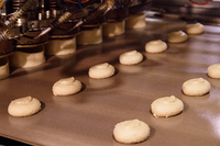 Tissu en maille enduit de PTFE résistant aux hautes températures pour bande de presse à tortillas