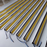 Profilé en aluminium pour bus Longueur personnalisée Marchepied LED Éclairage d'escalier Marchepied à LED pour bus