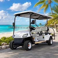 Carrito de Golf Eléctrico de 6 Plazas con Batería de Litio de 72v, Techo Abierto, para Transporte Turístico, Suministro Directo