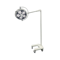 Vente chaude Portable OT lampe sans ombre lumière de salle d'opération Mobile pour théâtre médical et clinique dentaire examen de salle d'opération chaude