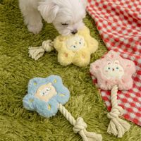 Jouet à mâcher en peluche pour chien, en forme d'étoile, couineur, motifs lapin, mouton, ours, pour les dents, vente en gros