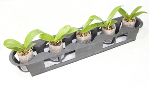 Bandejas <span class=keywords><strong>para</strong></span> <span class=keywords><strong>macetas</strong></span> de vivero, 1 ranura, 5 agujeros, resistentes, duraderas, <span class=keywords><strong>para</strong></span> plántulas, lanzadera, bandejas de transporte, bandeja móvil <span class=keywords><strong>para</strong></span> <span class=keywords><strong>macetas</strong></span> - Product Image 4