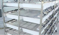 Vente en gros de cage pour souris et rats en PP pour usage en laboratoire Garantie OEM de 1 an pour l'alimentation des souris Fournitures de laboratoire d'élevage