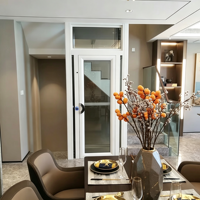 Ascenseur résidentiel pour petite maison, ascenseur personnalisé pour villa, mini-ascenseur intérieur/extérieur pour maison, directement de l'usine