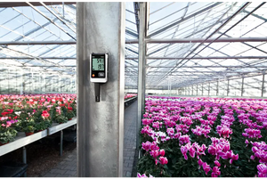 เทสโต้ 175 H1 เครื่องบันทึกอุณหภูมิความแม่นยำสูง เครื่องวัดอุณหภูมิและความชื้นในอุตสาหกรรม - Product Image 3