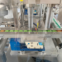 Capsuleuse pneumatique automatique haute vitesse à 2 têtes pour boissons et produits chimiques |   Solution de capsulage de précision contrôlée par PLC