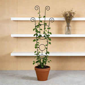 Treillis en fer forgé XH26-026, support rond pour plantes, pour utilisation en intérieur et en extérieur dans le jardin - Product Image 1