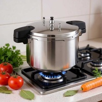 Superbe autocuiseur-cuiseur vapeur en aluminium écologique de 26 L pour cuisinières à gaz et à induction, idéal pour les restaurants et l'usage domestique