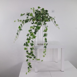 Vigne suspendue en lierre miniature multicolore <span class=keywords><strong>de</strong></span> 110 cm <span class=keywords><strong>de</strong></span> long, <span class=keywords><strong>brin</strong></span> décoratif avec des feuilles colorées pour une décoration murale délicate - Product Image 4