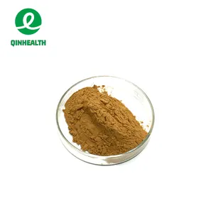 Cung cấp bổ sung sức khỏe lentinan shitake nấm chiết xuất Polysaccharide
