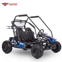 Nouveau best-seller : Buggy électrique 1000W 1500W 60V 20AH, Go Kart électrique