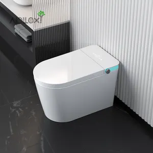 Apolloxy Decor Factory Outlet Wc Bidet Luxury Fully Smart Wc With Remote Smart Toilet Inodoro Inteligente