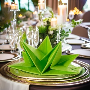 Chất lượng cao trước gấp giấy ăn tối Khăn ăn cho ramadan 2025 Bộ 12 santian - Product Image 6