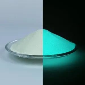 Floresan toz renk UV Neon Pigment tozu uzun vadeli lüminesans pigmentler çivi reçine baskı için fotokromik toz