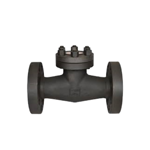 Pas cher/Bw/acier forgé/<span class=keywords><strong>eau</strong></span>/4 pouces/unidirectionnel/EPDM/Pn16/sanitaire en acier inoxydable/servofrein/<span class=keywords><strong>clapet</strong></span> <span class=keywords><strong>anti</strong></span>-<span class=keywords><strong>retour</strong></span> pivotant - Product Image 6