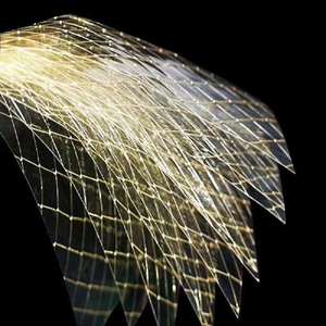 Feuilles de <span class=keywords><strong>gélatine</strong></span> de bœuf halal - Product Image 2