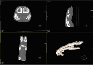 Escáner CT Veterinario de Alta Resolución con Modo DR Dinámico de 16 bits, Máquina de Tomografía Computarizada Animal de 512 Cortes para Clínica Veterinaria Profesional - Product Image 6