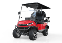 Importation de voiturette de golf électrique en acier 2 4 6 places pour voiture de ramassage de club de golf Buggy tout-terrain